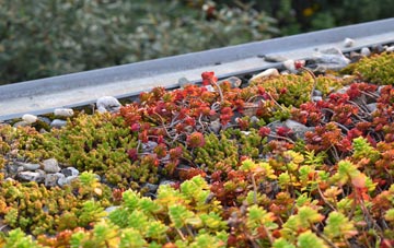 the cost of Barrow Burn green roof installation